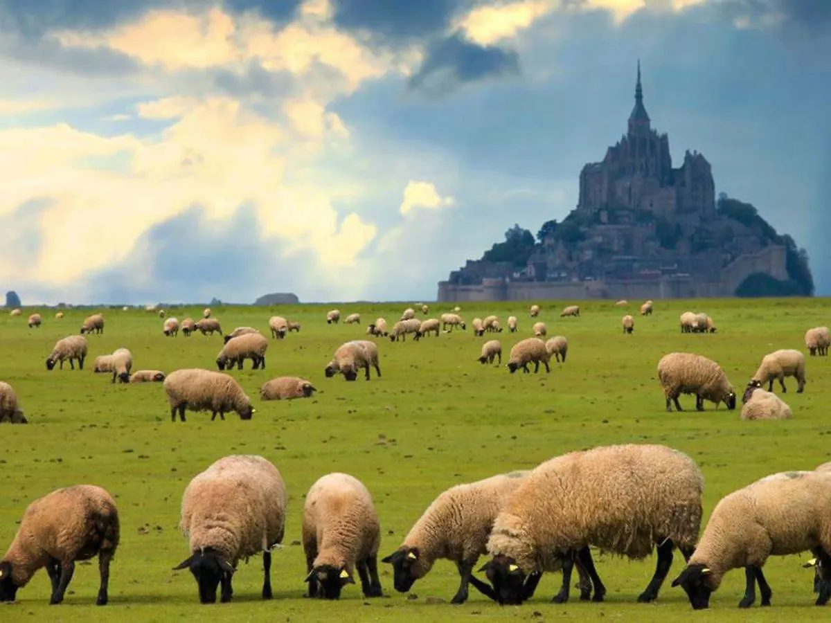 Gite Timeo Mont Saint-Michel Pontorson 0*,